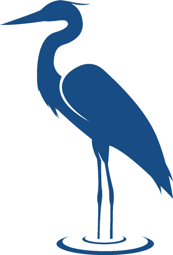 Great Blue Heron – May Sands Montessori